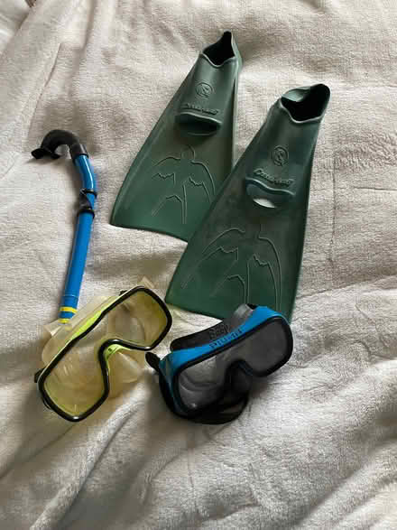 Photo of free Snorkel, flippers, face masks (Sale M33) #1