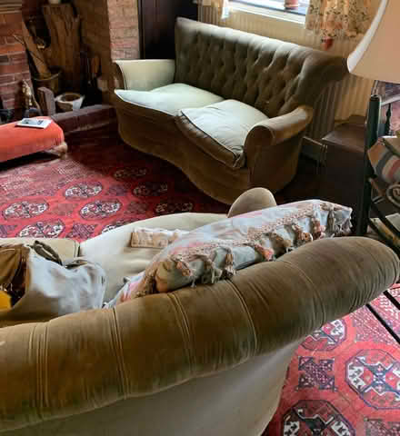 Photo of free A pair of small sofas in dark olive/green velvet. (Cliffe BN7) #2