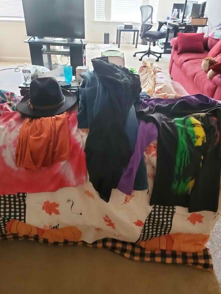 Photo of free Clothes,hat jewelry (Roswell Georgia) #2