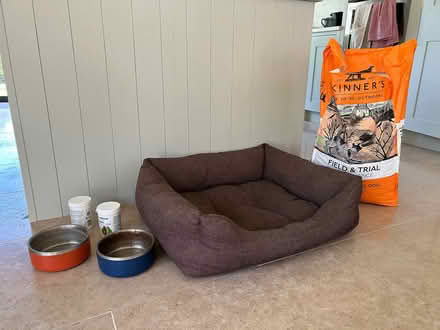 Photo of free Dog stuff (Hildenborough TN11) #1