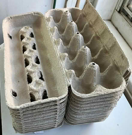 Photo of free Egg cartons (Downtown ITH) #1