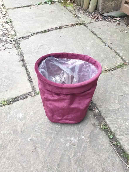 Photo of free Christmas Plant Pot Cover (Surbiton, KT6) #1