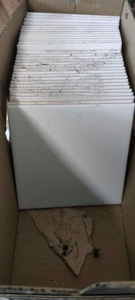 Photo of free White ceramic tiles (Congleton CW12) #1