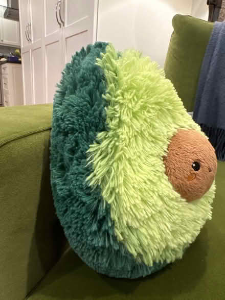 Photo of free Stuffed avocado toy (Newton Highlands south of Rt 9) #2