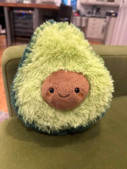 Photo of free Stuffed avocado toy (Newton Highlands south of Rt 9) #1