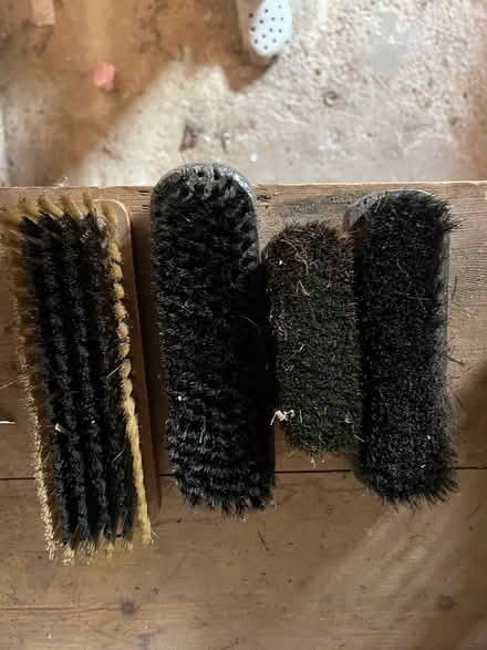 Photo of free Shoe polish brushes (Ansty CV7) #1