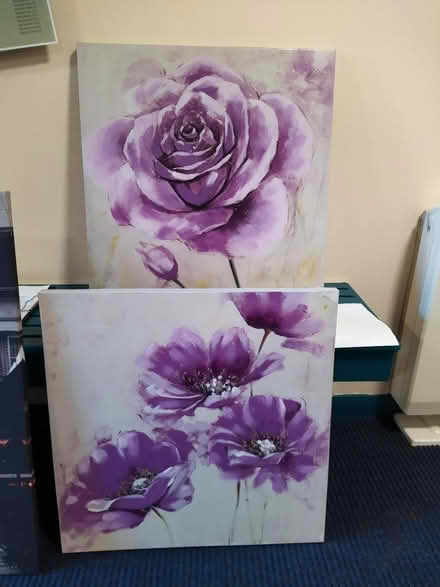 Photo of free Two wall canvasses 60cm square (Cullen, Seatown) #1