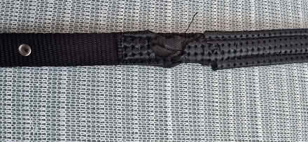 Photo of free Dog Collar (Seaford BN25) #2