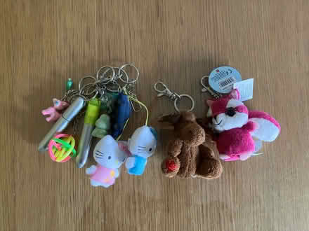 Photo of free Assorted key rings (St. Michaels Mead, B/Stortford) #1