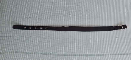 Photo of free Dog Collar (Seaford BN25) #1