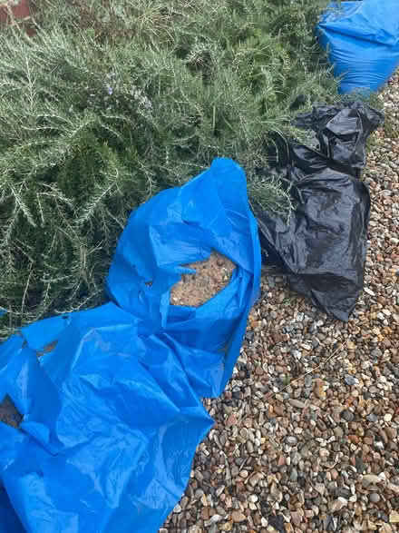 Photo of free Bags of left over builders sand (Ditchingham NR35) #1