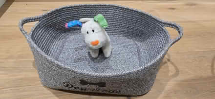 Photo of free Dog Toy Basket (Seaford BN25) #1