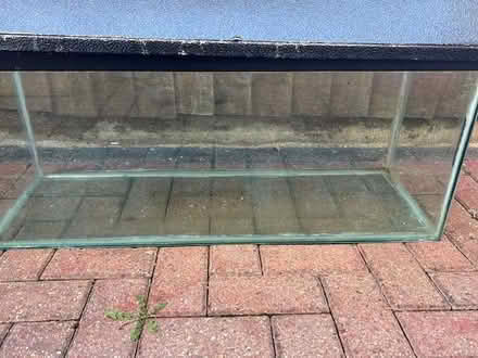 Photo of free Fish Tank (CT16) #1