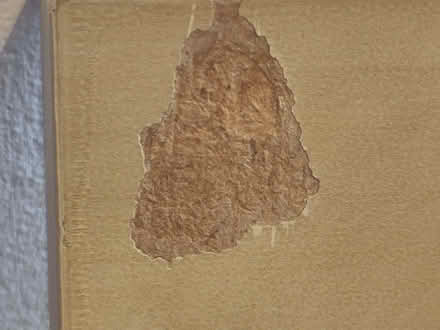 Photo of free Artificial Wood effect board (The Inch EH16) #2