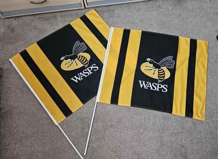Photo of free Wasps Rugby Club Flags (CV5) #1