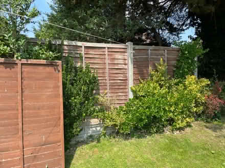 Photo of free Fence panels 5ft x 6ft (Guildford, GU2) #2