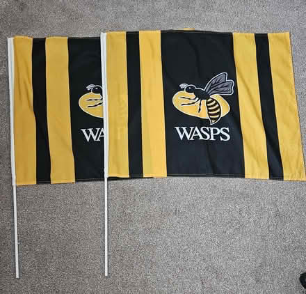 Photo of free Wasps Rugby Club Flags (CV5) #2