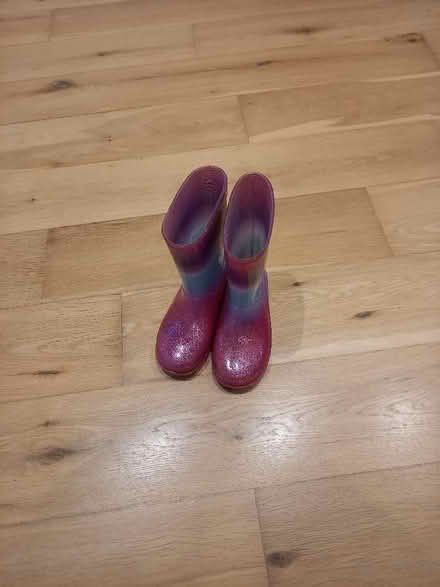 Photo of free Wellies size10 (North Tonbridge TN10) #1