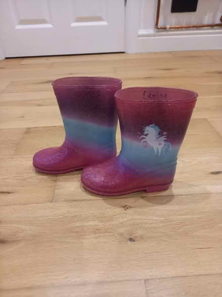 Photo of free Wellies size10 (North Tonbridge TN10) #2