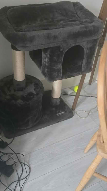 Photo of free Cat tree (Tulse Hill SE24) #1