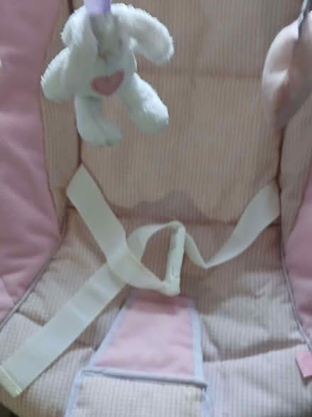 Photo of free Baby Bouncer Chair (Erith DA8) #3