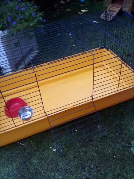 Photo of free Cage for Guinea, Rabbit etc (Shipley, BD18) #2