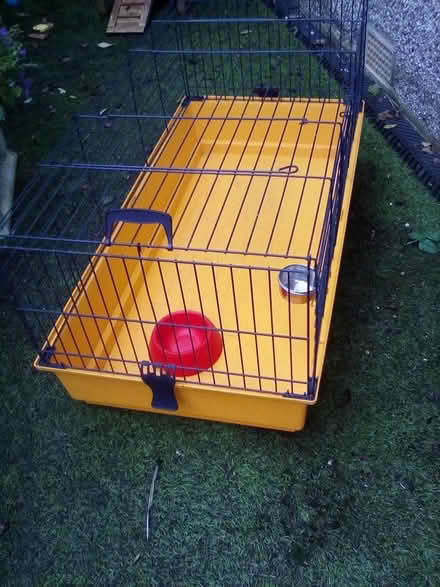 Photo of free Cage for Guinea, Rabbit etc (Shipley, BD18) #1