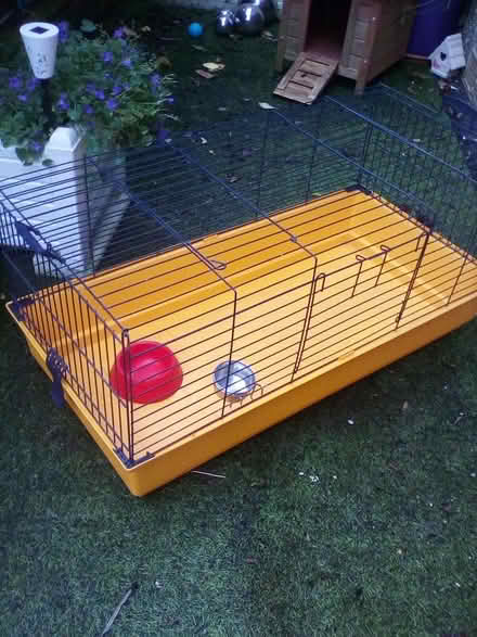 Photo of free Cage for Guinea, Rabbit etc (Shipley, BD18) #3