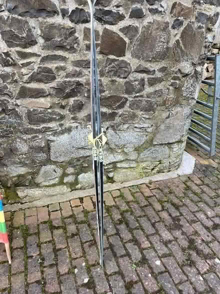 Photo of free Pair of cross country skis (Newport on Tay DD6) #1