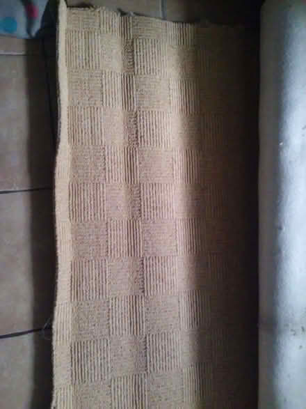 Photo of free Carpet.. (Phillack TR27) #1