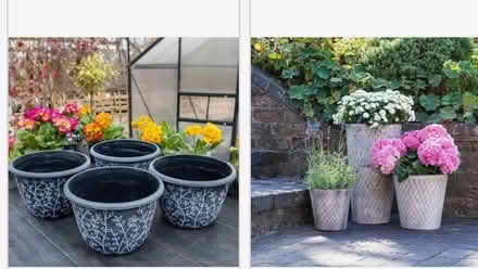 Photo of Decorative Plant pots (Rastrick HD6) #1