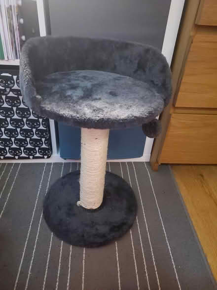 Photo of free Cat scratching post (Kentish Town West NW5) #1