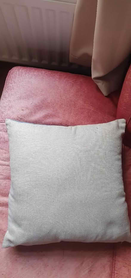 Photo of free pillow (EC1R) #2