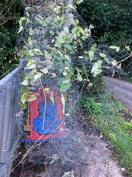 Photo of free Chicken wire (Pensford) #2