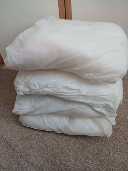 Photo of free Cushion inserts or Wadding for craft or Stuffing (Arlesey SG15) #1