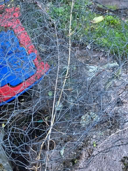 Photo of free Chicken wire (Pensford) #3