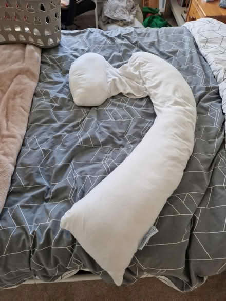 Photo of free Pregnancy pillow (Bear Flat) #1