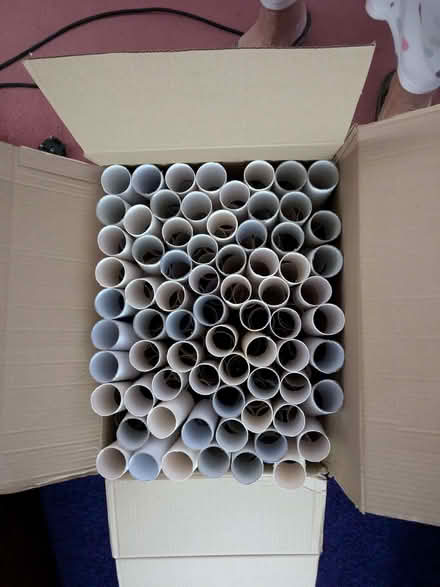 Photo of free Toilet roll tubes (Hedgerley SL2) #1