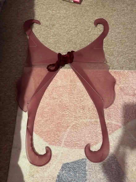 Photo of free Large fairy wings (Greenhill S8) #1