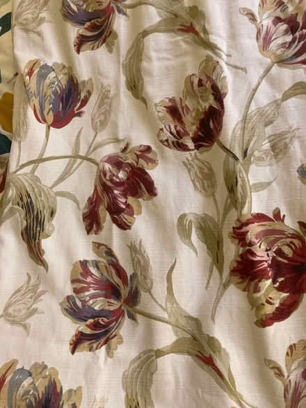 Photo of free Laura Ashely curtains (Dull PH15) #3