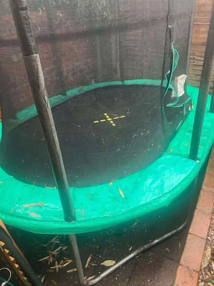 Photo of free Large Trampoline (Stourbridge DY8) #2