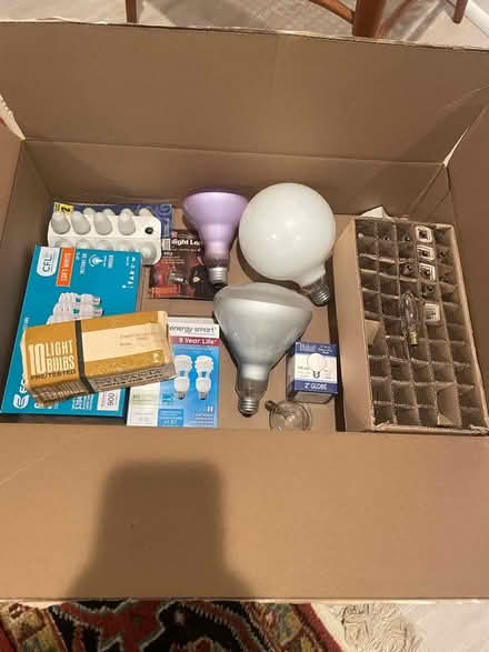 Photo of free Assortment of light bulbs (Arlington Forest) #1