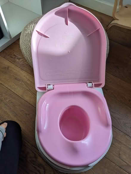 Photo of free Potty (BS5) #1