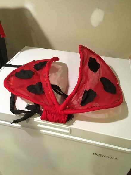 Photo of free Ladybug wings for small child (Wallingford) #1