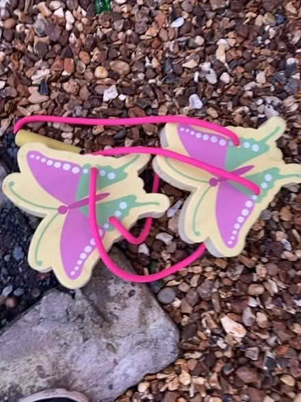 Photo of free Butterfly water floats (Brentry BS10) #1