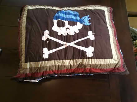 Photo of free Kid's pirate themed bedroom set (Near Butler) #1