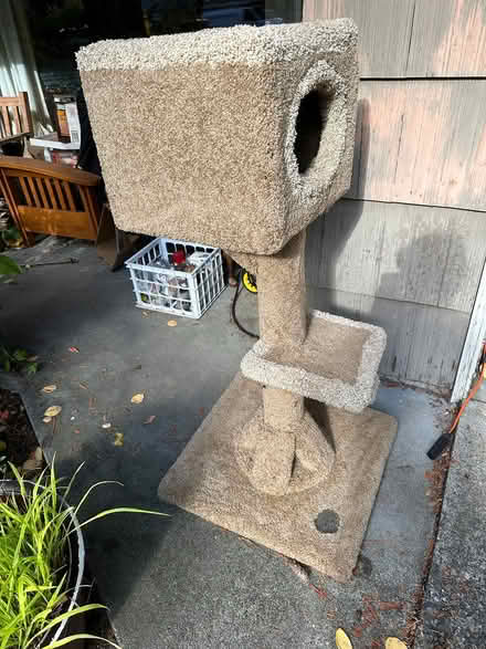 Photo of free Cat tower (Pinehurst) #2