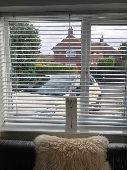 Photo of free Venition blinds (Blacon CH1) #1