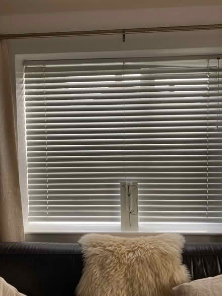 Photo of free Venition blinds (Blacon CH1) #3