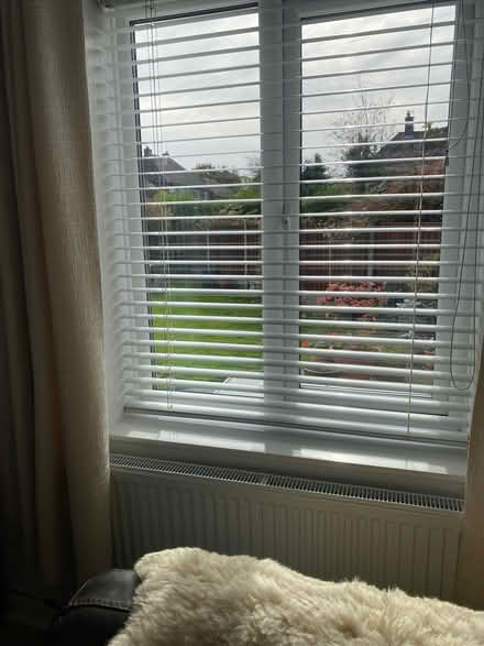 Photo of free Venition blinds (Blacon CH1) #2